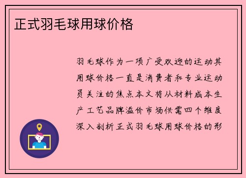 正式羽毛球用球价格