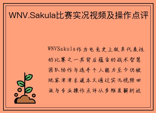 WNV.Sakula比赛实况视频及操作点评